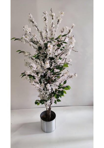 Rüzgar Yapay Çiçekçilik 150 cm Benjamin Ilaveli Beyaz Bahardalı Ağacı