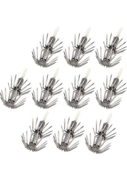10 Karides Jigs I Su Tuzlu Su 030 (Yurt Dışından)