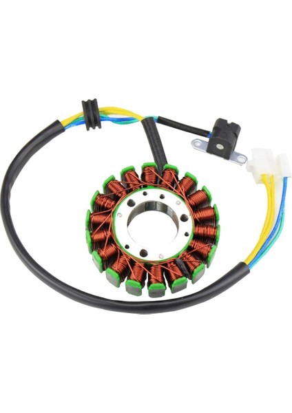 Scooter 250-300CC Motor Için Yedek 18 Magneto (Yurt Dışından)