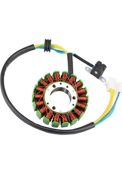 Scooter 250-300CC Motor Için Yedek 18 Magneto (Yurt Dışından)