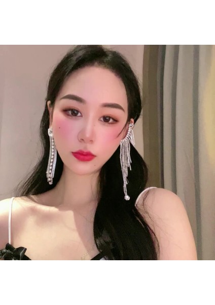 Zirkon Küpe (Yurt Dışından) fiyatları