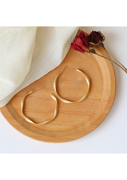 Zirkon Küpe (Yurt Dışından)
