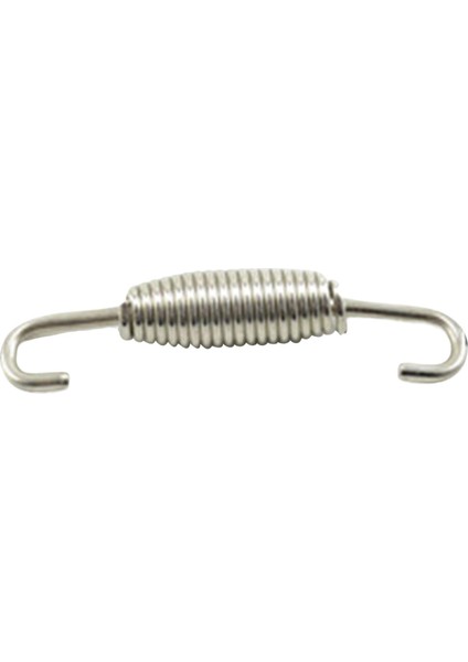 Motosiklet Egzoz Borusu Yayı Paslanmaz 68MM Argent Oval (Yurt Dışından) modelleri