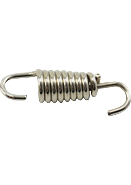 Motosiklet Egzoz Borusu Yaylı Ağır Hizmet 43MM Argent (Yurt Dışından) modelleri