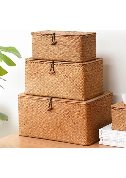 Shanhua Shop 20X16X9CM-DOĞA Stili Büyük Hasır Kutu Dikdörtgen Seagrass Kapaklı Depolama Sepeti Kabine Raf Masa Ev Sepetleri Için Rattan Depolama Organizatör (Yurt Dışından)