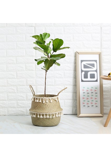 Siyah Püskül Stili S 19X17CM El Yapımı Bambu Saklama Sepetleri Seagrass Hasır Sepet Bahçe Saksı Çamaşır Sepeti Beyaz Püskül ile Konteyner Oyuncak Tutucu (Yurt Dışından) fırsatları
