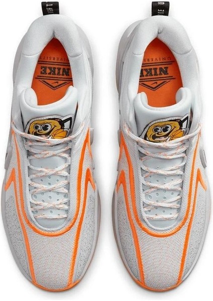 Cosmic Unity 2 Basketbol Ayakabısı DH1537-004 modelleri