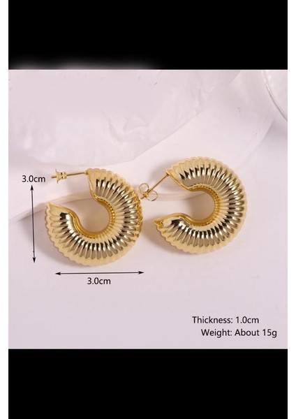 Kadın Vip Seri Özel Tasarım Marka Küpe Seti fiyatları