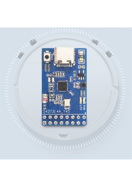 BL702S Geliştirme Kurulu 2.4g Bluetooth Düşük Enerji Zigbee Rısc Çekirdek Çok Fonksiyonlu Taşınabilir Iot Geliştirme Devre Kartı Modülü (Yurt Dışından)