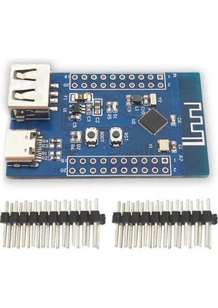 Bluetooth 5.3 Rf2.4g Mikrodenetleyici Çok Işlevli Taşınabilir Düşük Güç Bluetooth Çift USB Rısc-V Modülü (Yurt Dışından)