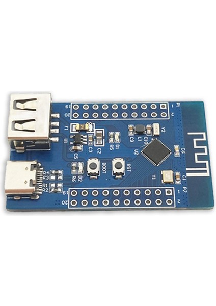 Bluetooth 5.3 Rf2.4g Mikrodenetleyici Çok Işlevli Taşınabilir Düşük Güç Bluetooth Çift USB Rısc-V Modülü (Yurt Dışından)