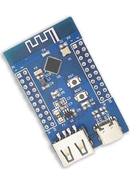 Bluetooth 5.3 Rf2.4g Mikrodenetleyici Çok Işlevli Taşınabilir Düşük Güç Bluetooth Çift USB Rısc-V Modülü (Yurt Dışından)