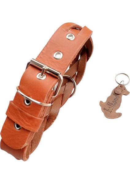 Köpek boyun tasması hakiki deri taba rengi genişlik:3,5cm kalınlık:3mm boyun ölçüsü:32-40cm ayarlamalı dog collar T1-21M