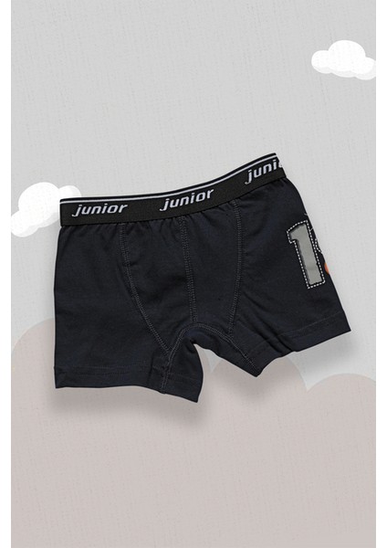 Boxer Erkek Çocuk 44005