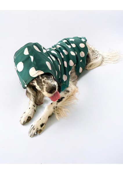 Mega Dots Green Köpek Kapşonlu Yağmurluk