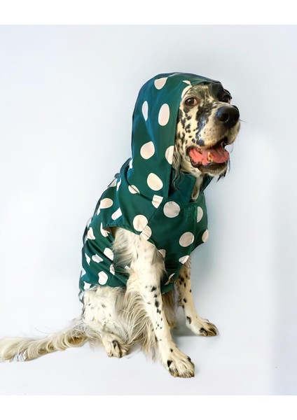 Mega Dots Green Köpek Kapşonlu Yağmurluk