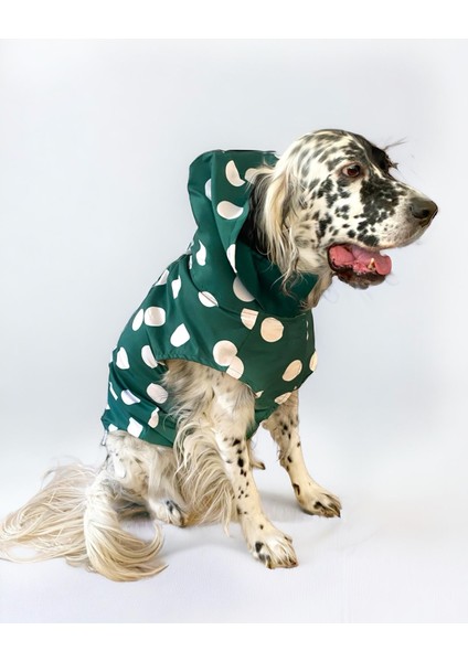 Mega Dots Green Köpek Kapşonlu Yağmurluk