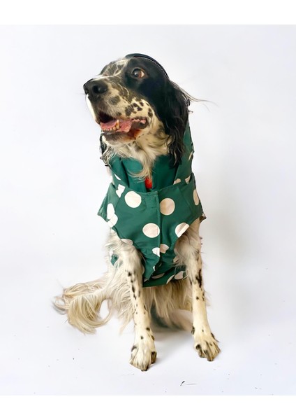 Mega Dots Green Köpek Kapşonlu Yağmurluk