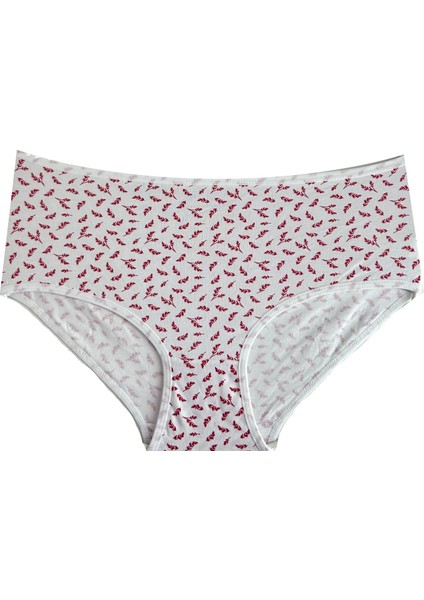 Kadın 4'lü Büyük Beden Külot fiyatları