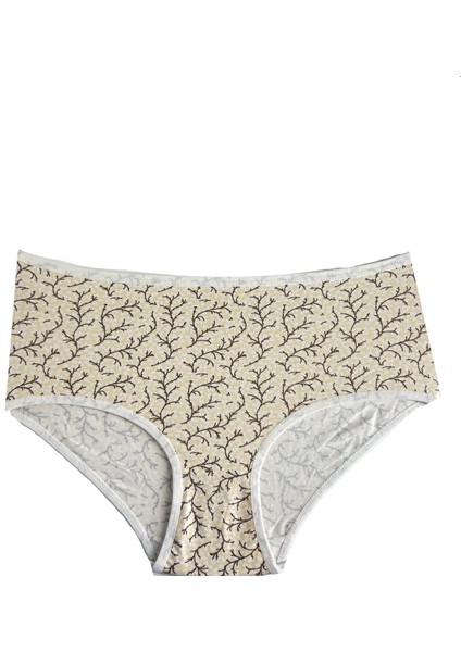 Kadın 4'lü Büyük Beden Külot fırsatları