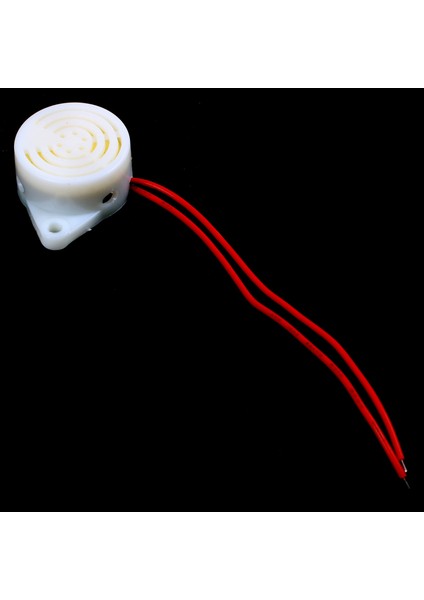 Bip Sesi Ac 220V Buzzer Kablolu Güç Kaynağı 2 Alarm Çarkı (Yurt Dışından)