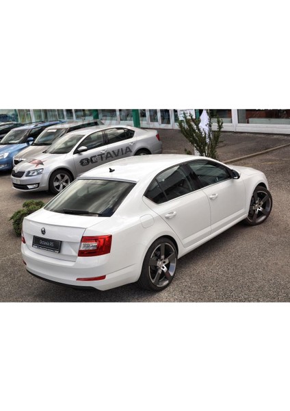 Skoda Octavia Astarlı Anatomik 2010- Spoyler (Sry)
