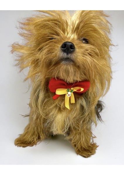 Mini Rudolph Köpek Papyonu Kurdela Tasma Yılabşı Noel
