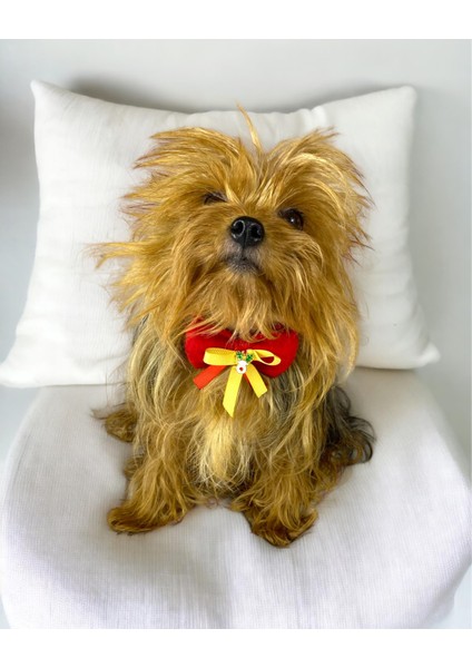Mini Rudolph Köpek Papyonu Kurdela Tasma Yılabşı Noel