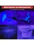 395NM Ultraviyole Uv Kalem El Feneri - Alüminyum Darbeye Suya Dayanıklı Cep Feneri Klipsli Kalem Fener Blacklight 3