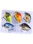 5 Mini Crankbait Sert I Su ve Tuzlu Su A (Yurt Dışından) 1