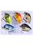 5 Mini Crankbait Sert I Su ve Tuzlu Su A (Yurt Dışından) 3