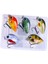 5 Mini Crankbait Sert I Su ve Tuzlu Su C (Yurt Dışından) 1