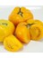 Big Yellow Domates (Tomatoes) Tohumu (15 Tohum) 1