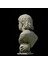 Maradona Bust 25CM 3