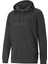 Ess Big Logo Hoodie Gri Erkek Sweatshirt 58668807 1