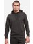 Ess Big Logo Hoodie Gri Erkek Sweatshirt 58668807 3