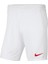 M Nk Df Park Iıı Short Nb K BV6855-103 Erkek Şort 1