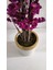 Rüzgar Yapay Çiçekçilik 30 x 30 cm Krem Gold Saksıda180 cm Bahardalı Ağacı 3
