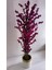 Rüzgar Yapay Çiçekçilik 30 x 30 cm Krem Gold Saksıda180 cm Bahardalı Ağacı 5