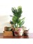 No.4 Tarzı 32X28CM Seagrass Depolama Sepeti Saksı Doğal Rattan Sepet Saksı Oyuncak Tutucu Çamaşır Sepeti Konteyner Ev Enkaz Depolama (Yurt Dışından) 3