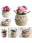 D Stili 32X28CM Katlanabilir Seagrass Belly Dokuma Sepet Çiçek Bitkiler Pom Pom Ball ile Tencere Püskül Saklama Çantası Ev Dekor (Yurt Dışından) 4