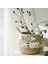 Küçük Püskül Dantel Stili 23CMX22CM Makrome Püskül Hasır Sepet El Yapımı Boho Dekor Bahçe Saksıları Çalışma Odası Depolama Rattan Sepet Ev Organizatör Çamaşır (Yurt Dışından) 3