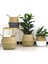 Model 9 Tarzı 22X20 cm Whısm El Yapımı Deniz Çayı Depolama Sepeti Saksı Rattan Konteyner Oyuncaklar Organizatör Tutucu Çamaşır Sepeti Ev Dekor (Yurt Dışından) 5