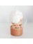 Cam Bardak Latte Mum 1