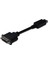 DisplayPort (DP) DVI-I Adaptörü, Kablolu, DP Erkek - DVI-I (24+5) Dişi, 0.15 metre, kilit mekanizmalı, DP 1.2 uyumlu UL, siyah renk 1