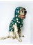 Mega Dots Green Köpek Kapşonlu Yağmurluk 2
