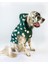 Mega Dots Green Köpek Kapşonlu Yağmurluk 3
