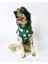 Mega Dots Green Köpek Kapşonlu Yağmurluk 4
