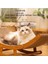 Sallanan Sandalye Kedi Tutamakları (Yurt Dışından) 3