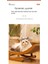 Sallanan Sandalye Kedi Tutamakları (Yurt Dışından) 5